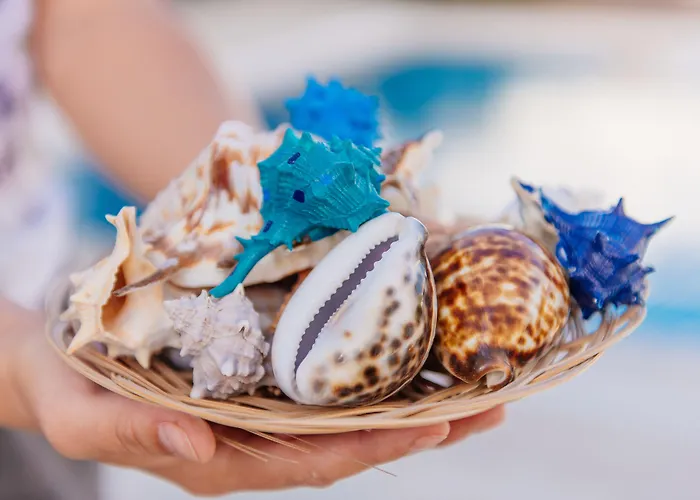 Via Farilya Yalıkavak