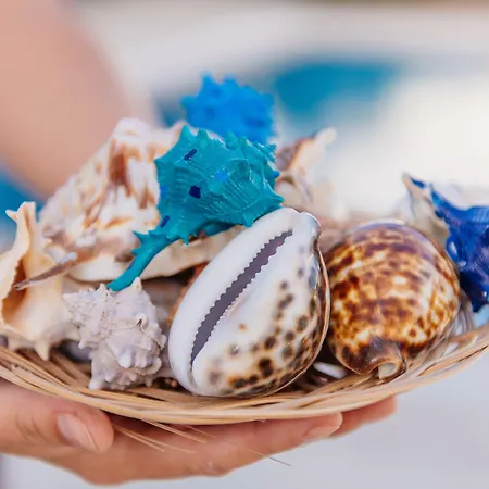 Via Farilya 군도간