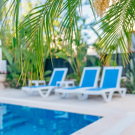 Via Farilya 군도간