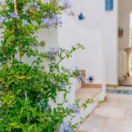 Via Farilya 2* Gundogan (Bodrum)